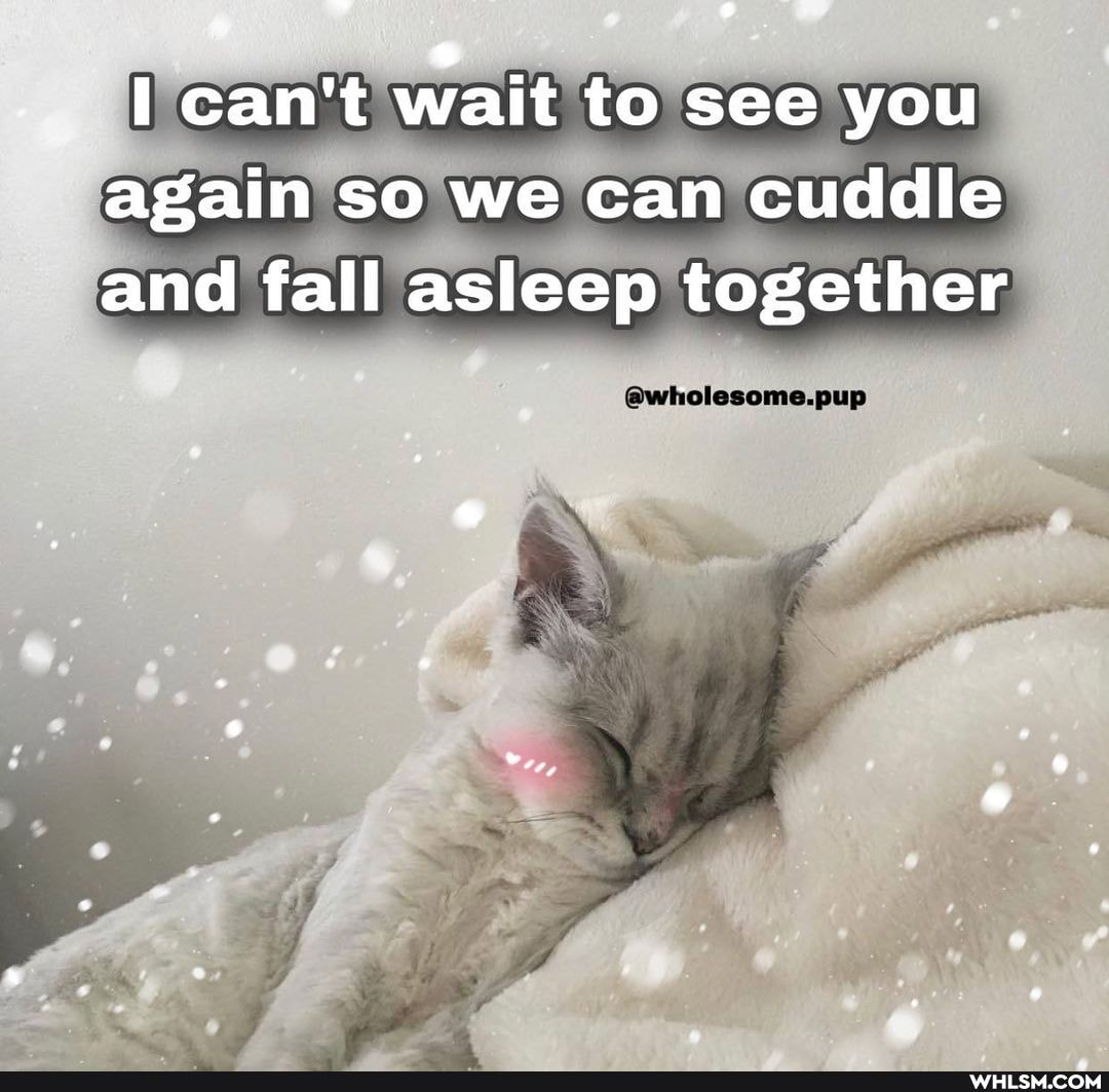 I can't wait to see you again so we can cuddle and fall asleep together
