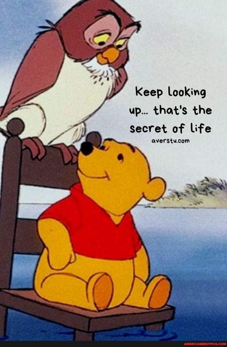 Keep Looking Up That S The Secret Of Life Ss America S Best Pics And Videos