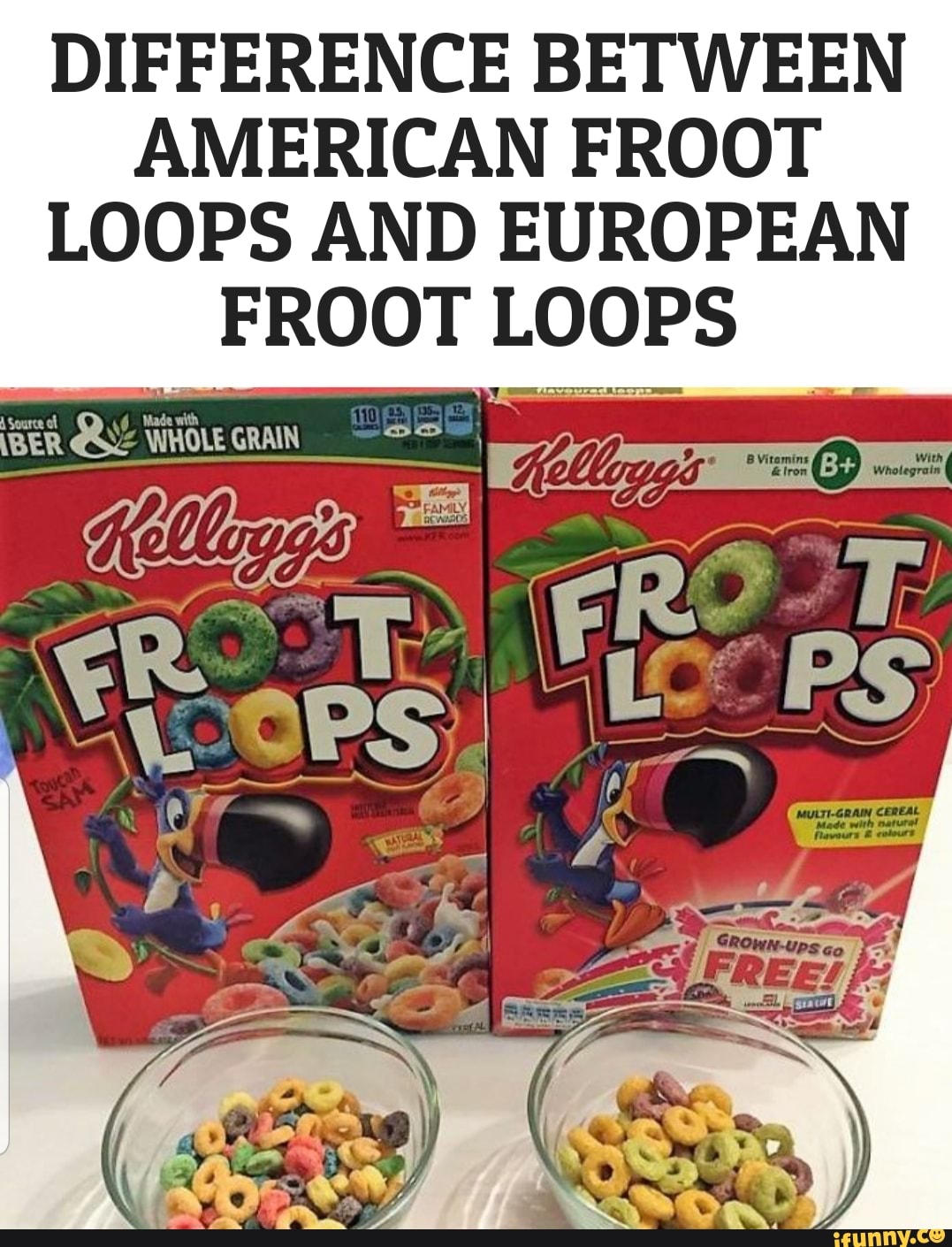DIFFERENCE BETWEEN AMERICAN FROOT LOOPS AND EUROPEAN FROOT LOOPS BER
