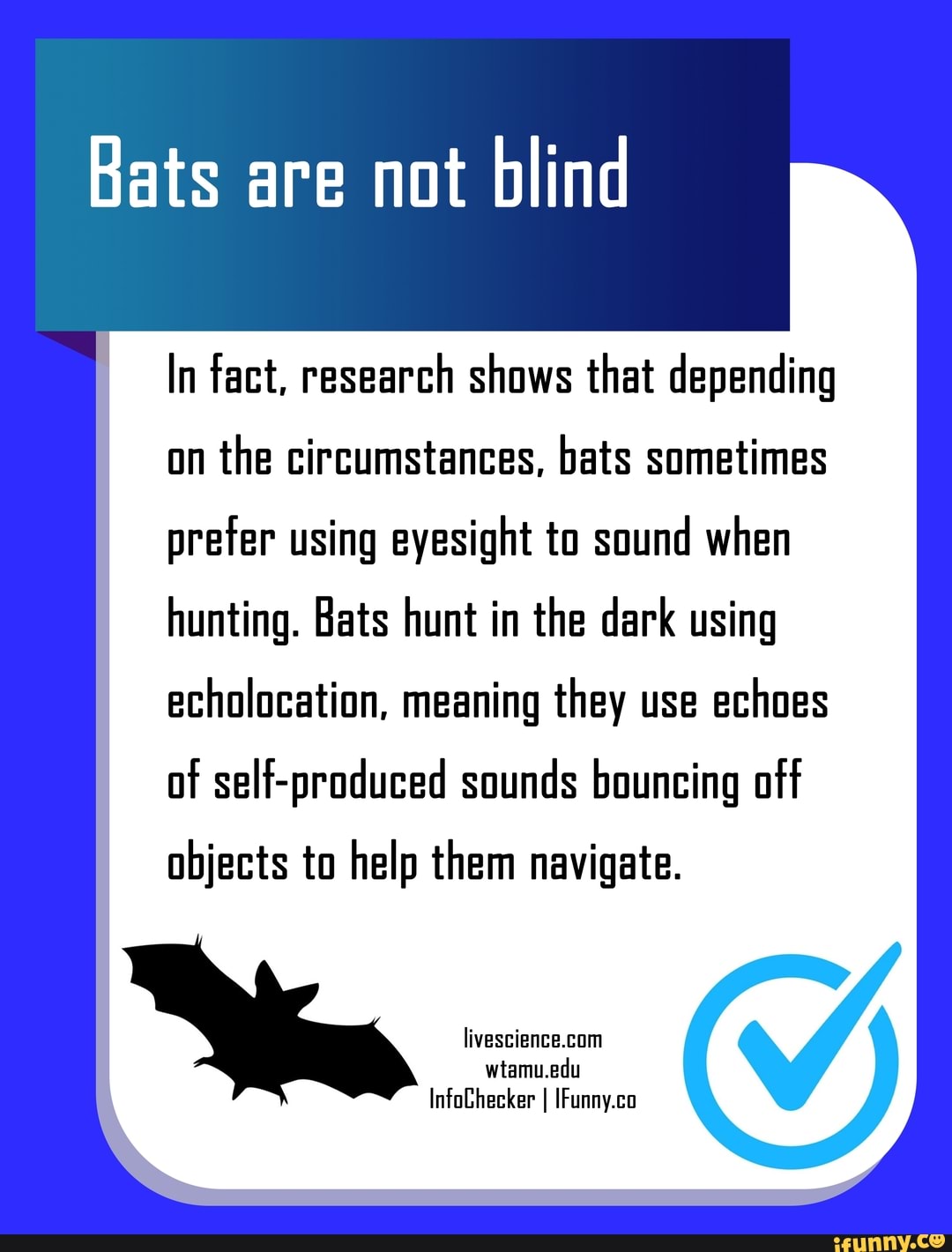 In fact, research shows that depending on the circumstances, bats sometimes prefer using