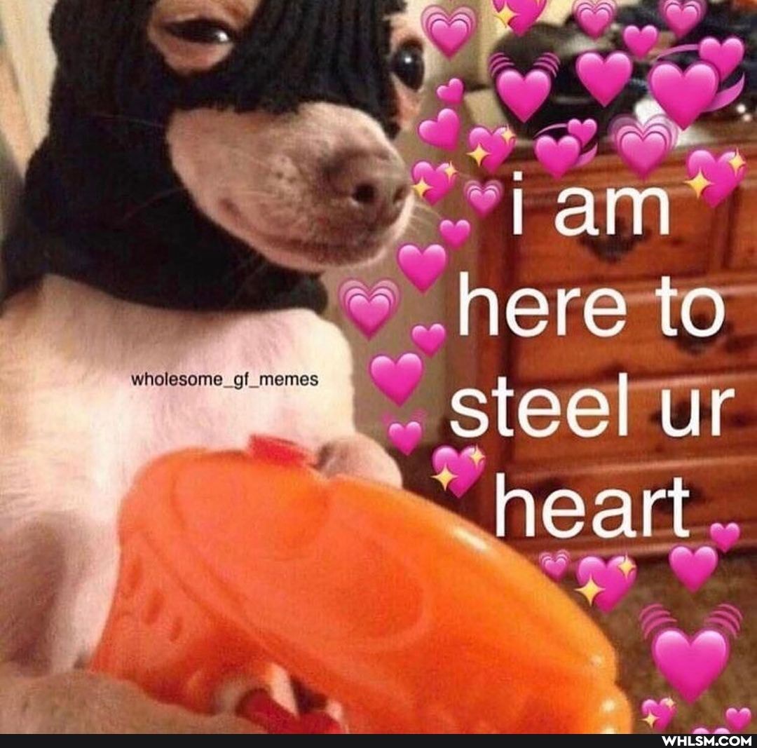 VS
jam here to steel ur
heart