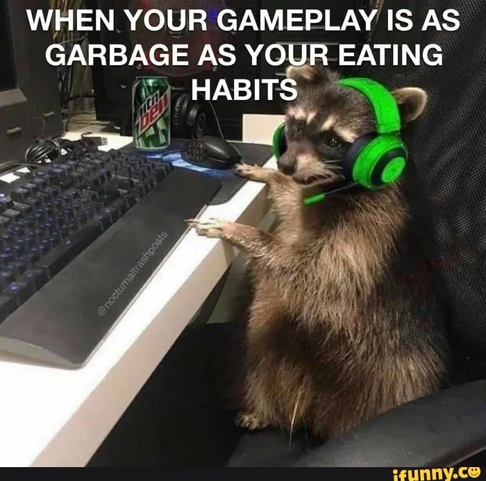 WHEN YOUR GAMEPLAY IS AS GARBAGE AS YOUR EATING HABITS