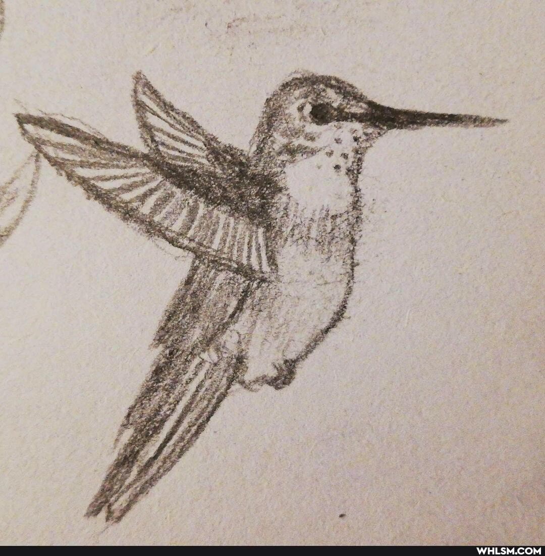 pencil_art, charcoal