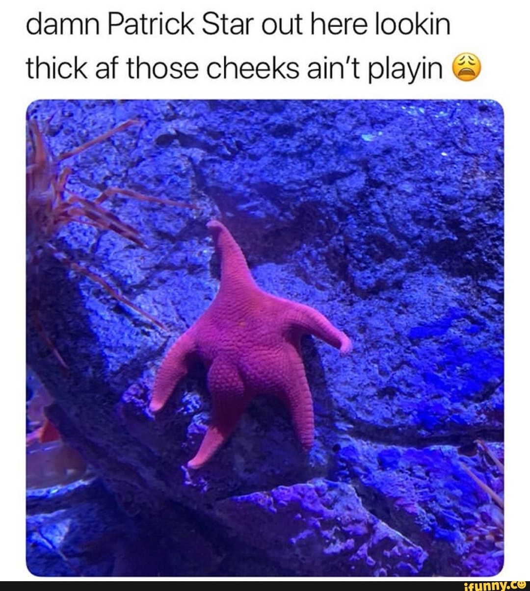 Damn Patrick Star out here lookin thick af those cheeks ain't playin ...