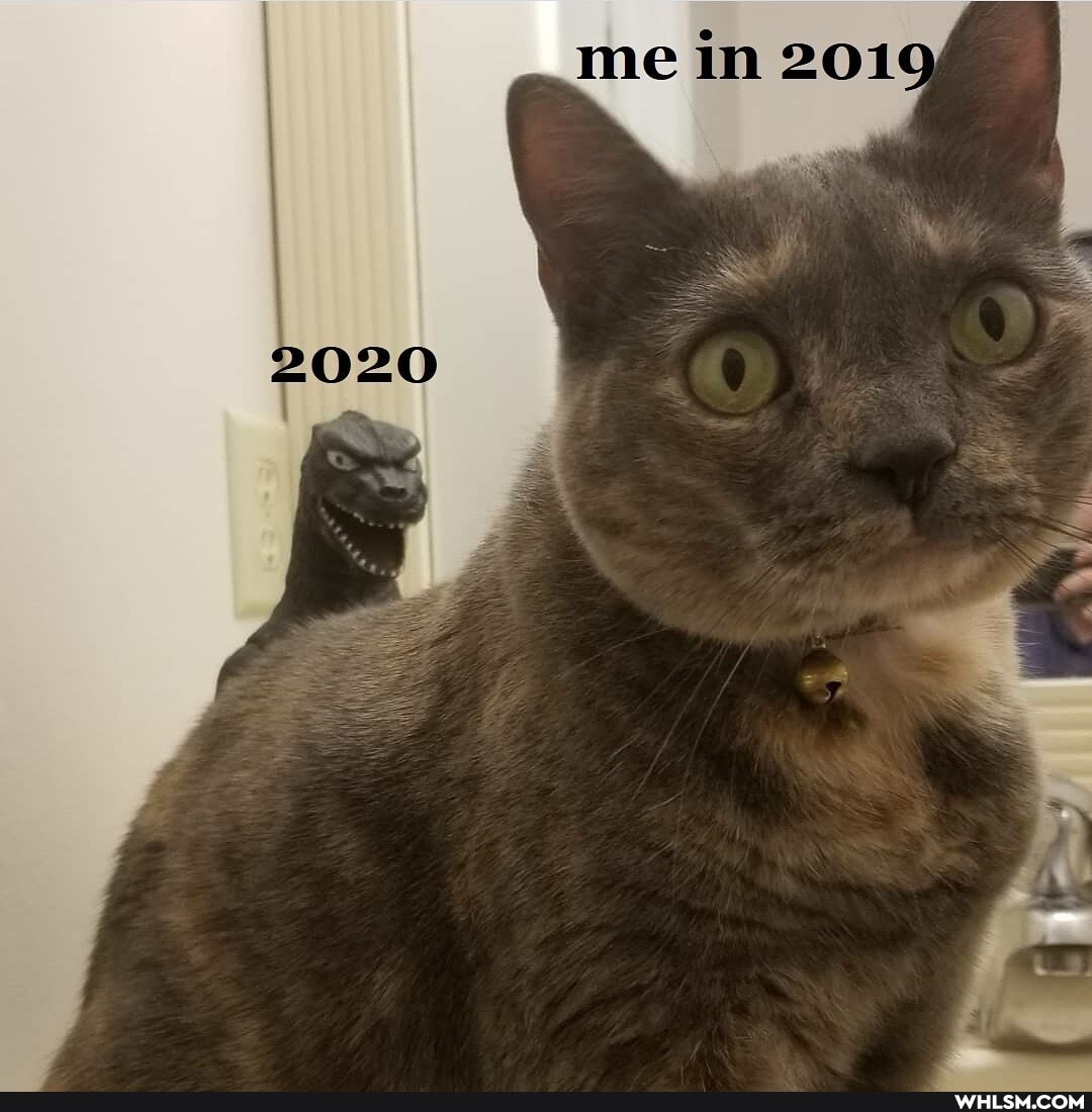 me im 2019