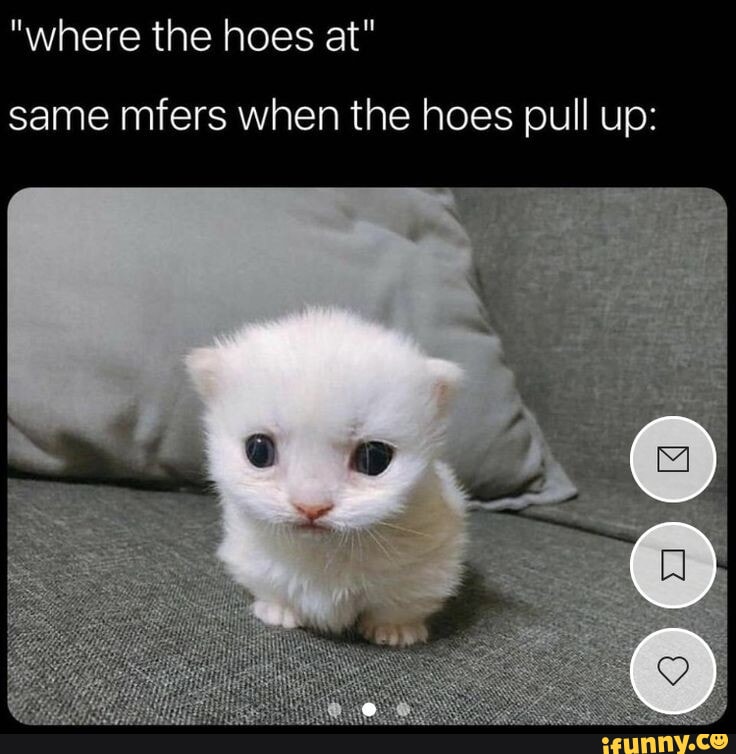 When The Hoes Actually Pull Up