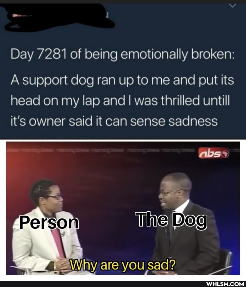 Day 7281 of being emotionally broken:
A support dog ran up to me and put its head on my lap and I was thrilled untill it's owner said it can sense sadness
fog
meWhy are you sad?