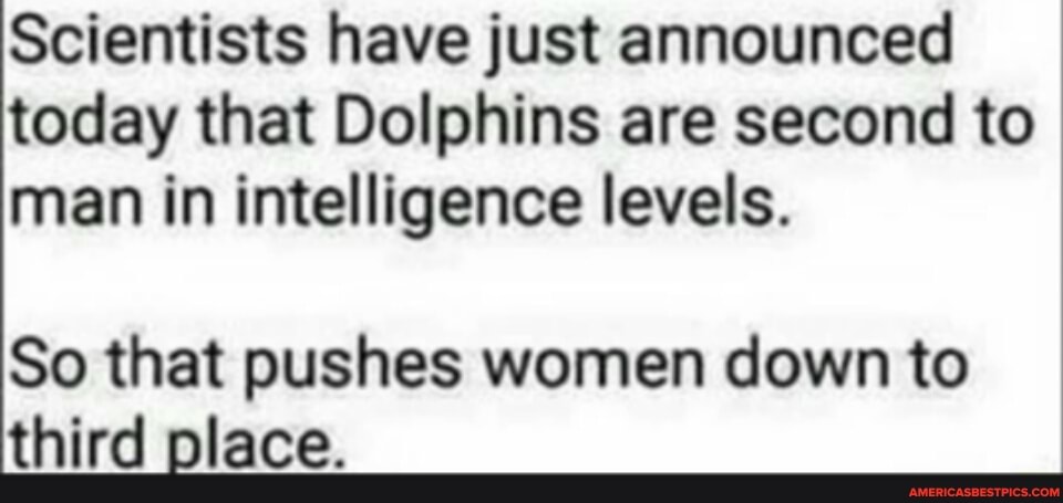 Scientists have just announced today that Dolphins are second to man in intelligence levels.
So that pushes women down to third place.