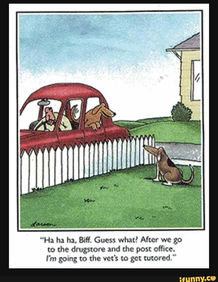 The Best 5 Far Side Dog Getting Tutored starquotezone
