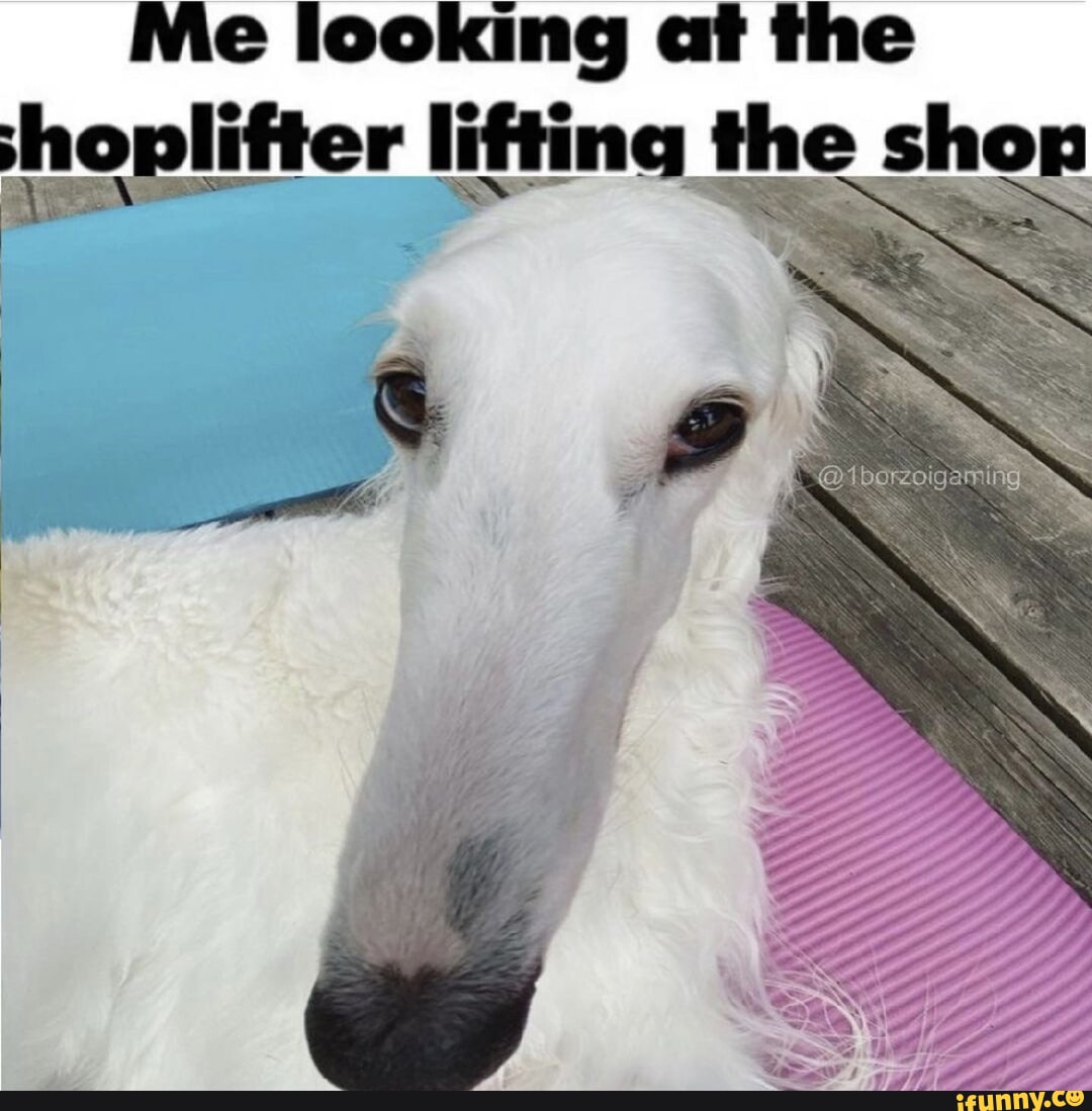 Shoplifter memes. Best Collection of funny Shoplifter pictures on iFunny