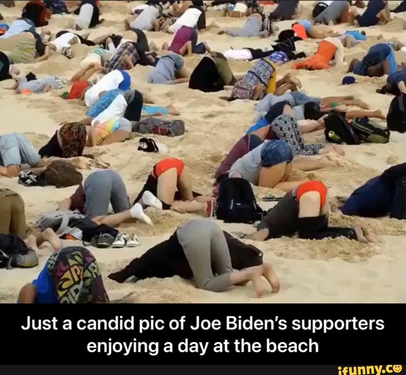 AN
Just a candid pic of Joe Biden's supporters enjoying a day at the beach - Just a candid pic of Joe Biden’s supporters enjoying a day at the beach