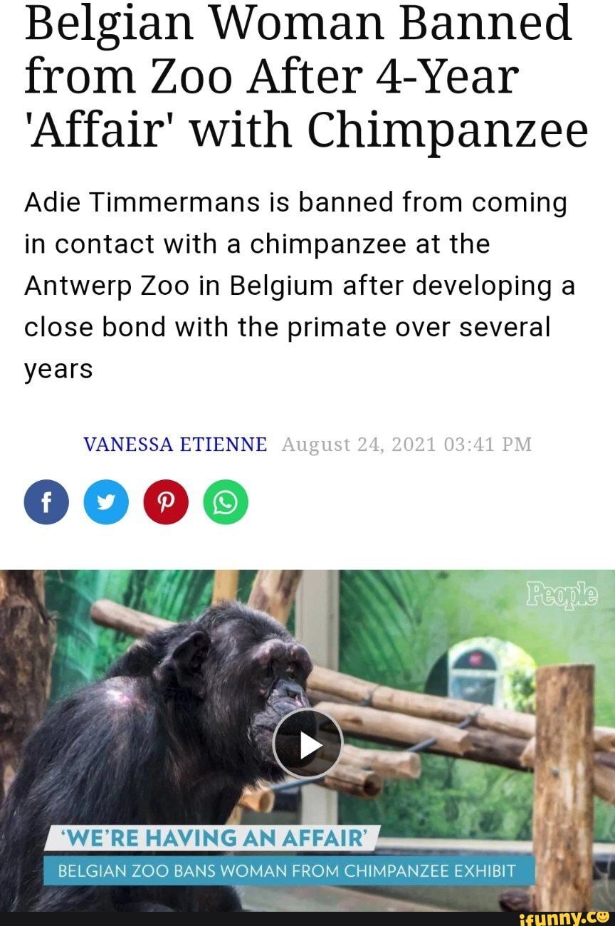 Belgian Woman Banned from Zoo After 4-Year 'Affair' with Chimpanzee ...