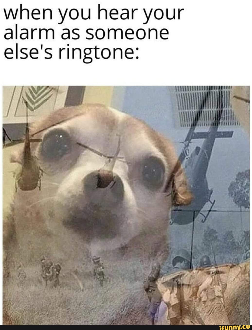 When you hear your alarm as someone else's ringtone iFunny