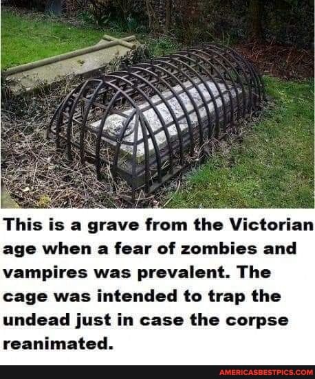 This is a grave from the Victorian age when a fear of zombies and vampires was prevalent. The cage was intended to trap the undead just in case the corpse reanimated.