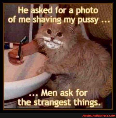 He for a photo of me shaving PUSSY
Men ask for the sttangest things.