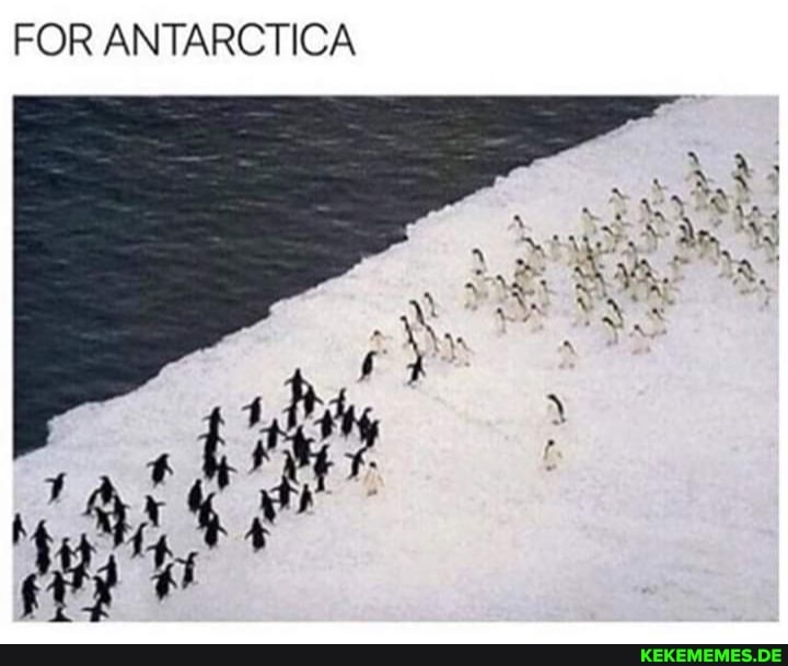 FOR ANTARCTICA