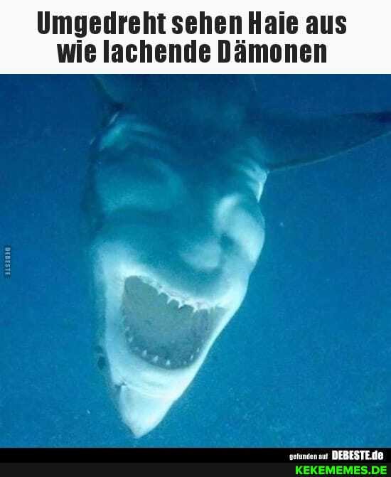 Umgedreht sehen Haie aus wie lachende Dämonen