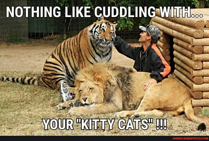 NOTHING LIKE CUDDLING WITH...
YOUR "KITTY CATS"