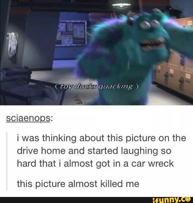 i was thinking about this picture on the
drive home and started laughing so
hard that i almost got in a car wreck
this picture almost killed me