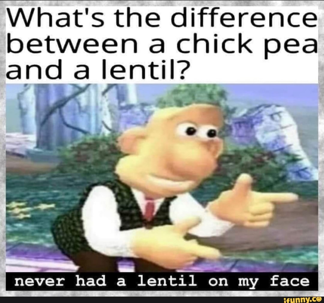 What's the difference between a chick pea and a lentil? on my face ...