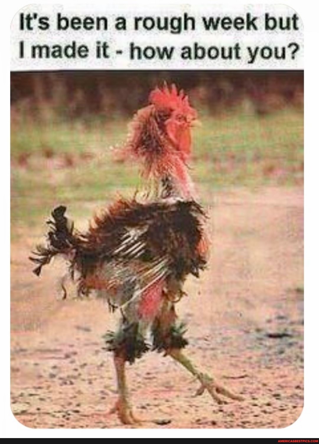 It's been a rough week but made it - how about you?