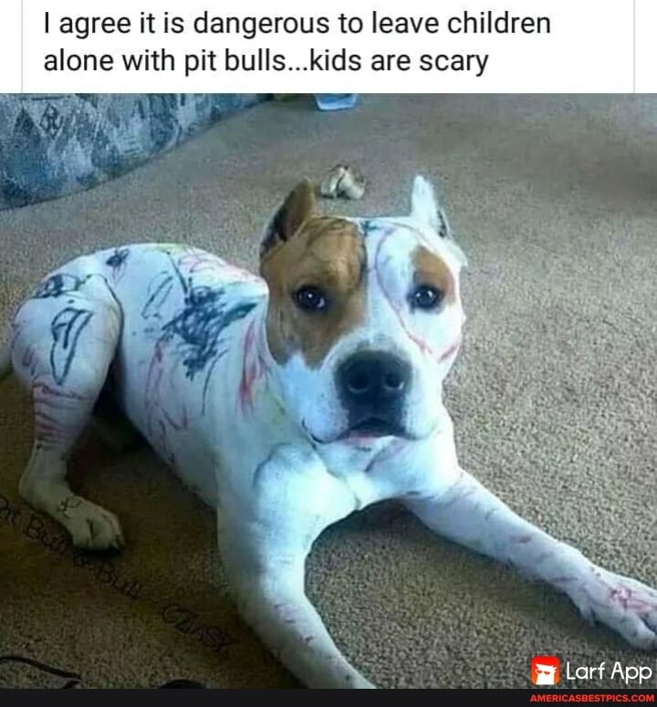 I agree it is dangerous to leave children alone with pit bulls...kids are scary
Larf App