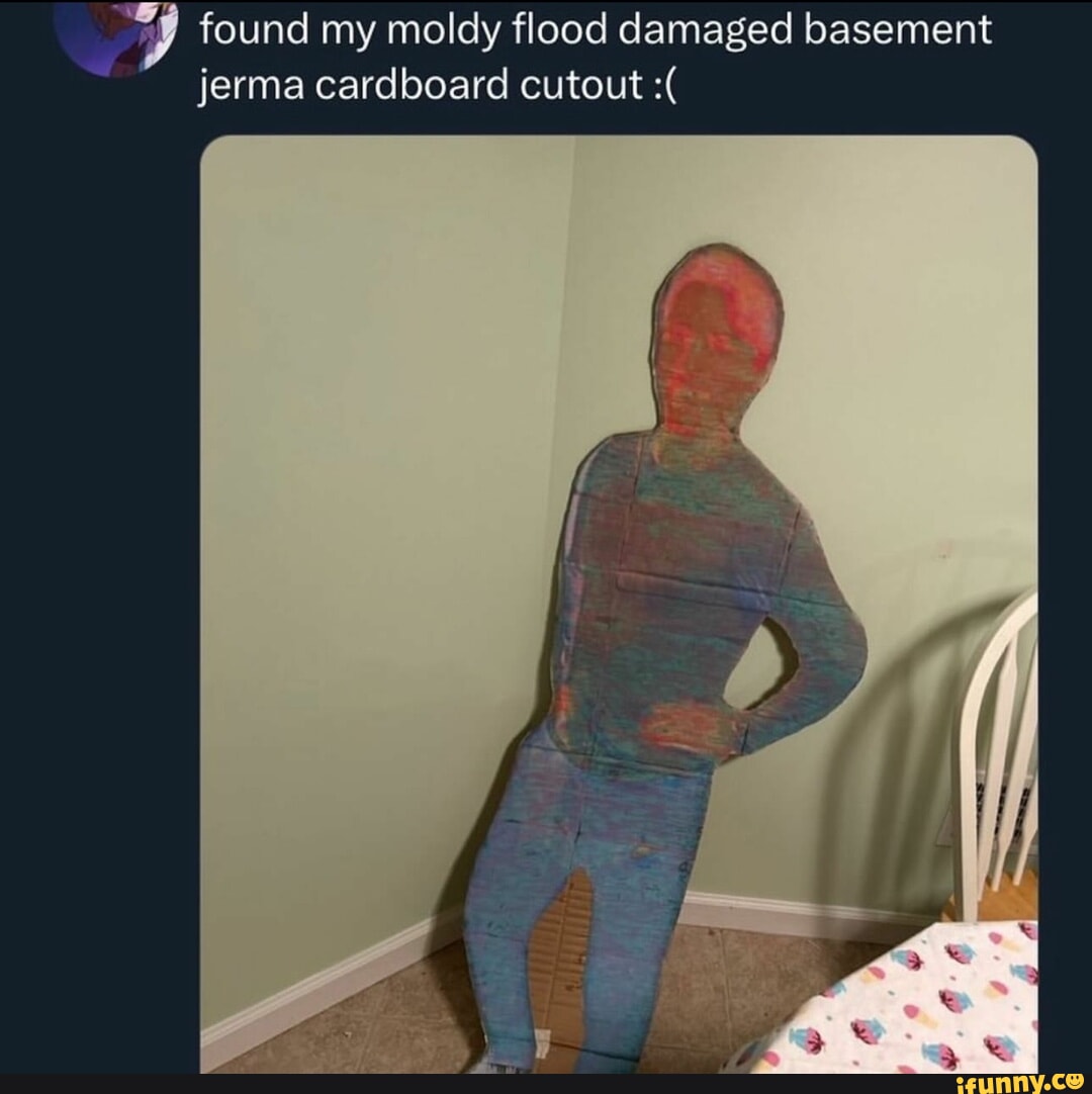 Found my moldy flood damaged basement jerma cardboard cutout iFunny