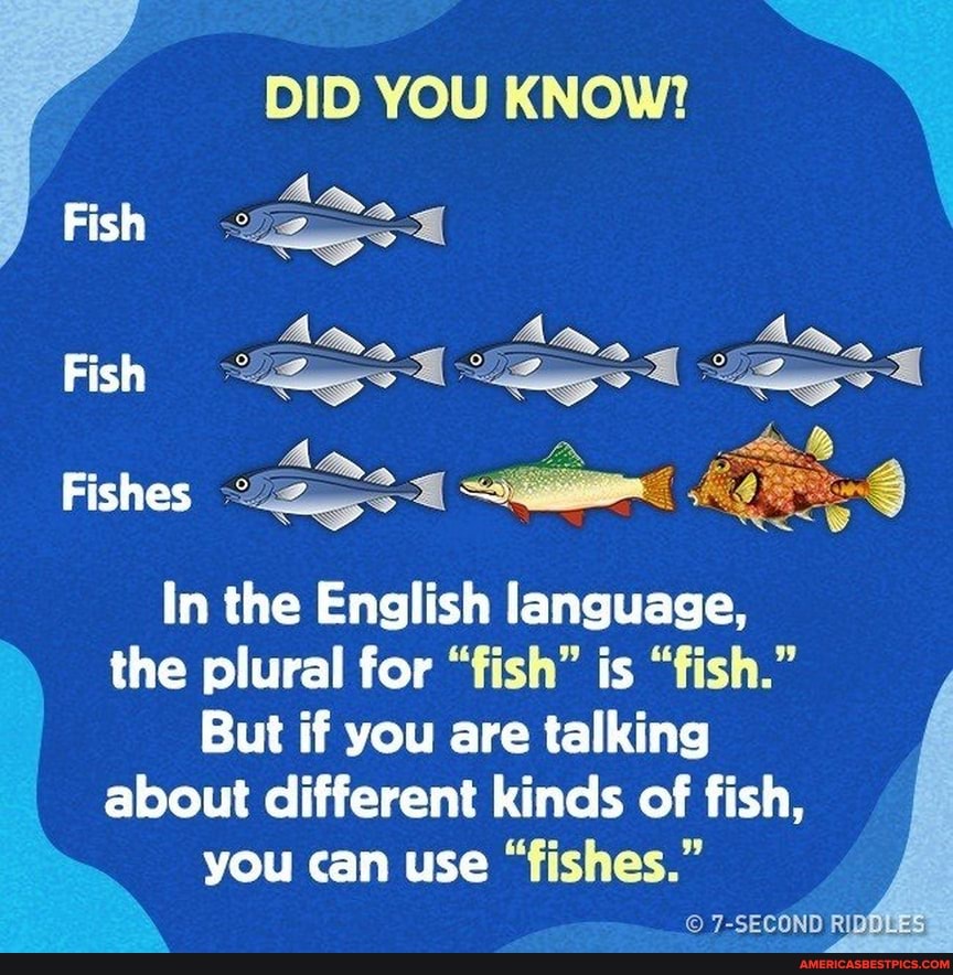 Did You Know Le Fish Fish La Fishes In The English Language The Plural For Fish