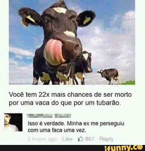 Ru
Vocé tem 22x mais chances de ser morto
por uma vaca do que por um tubarao.
E
E
Isso é verdade. Minha ex me perseguiu
com uma faca uma vez.