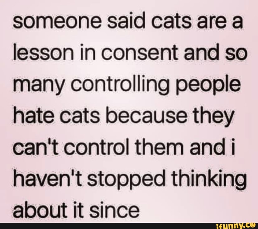 Someone said cats are a lesson in consent and so many controlling ...