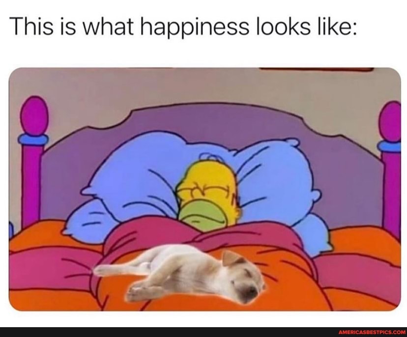 This is what happiness looks like: