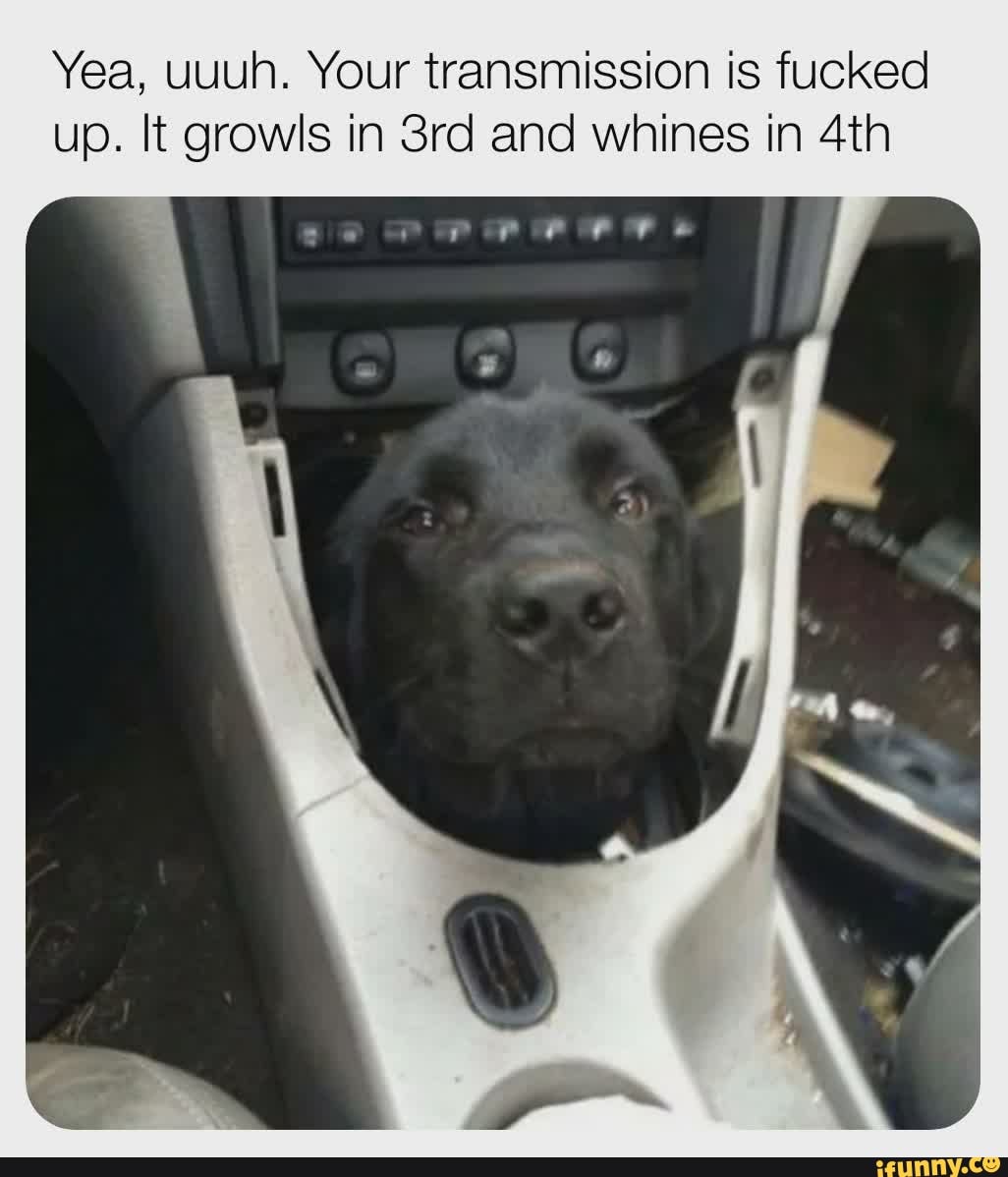 Yea, uuuh. Your transmission is fucked
up. It growls in 3rd and whines in 4th
