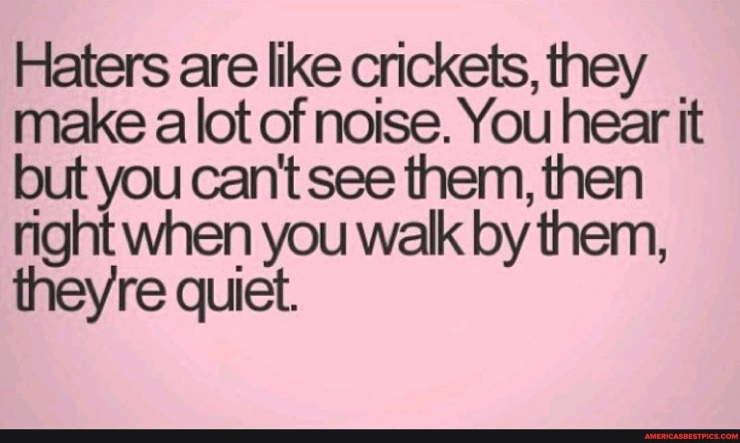 Haters are like crickets, they make a lot of noise. You hear it but you