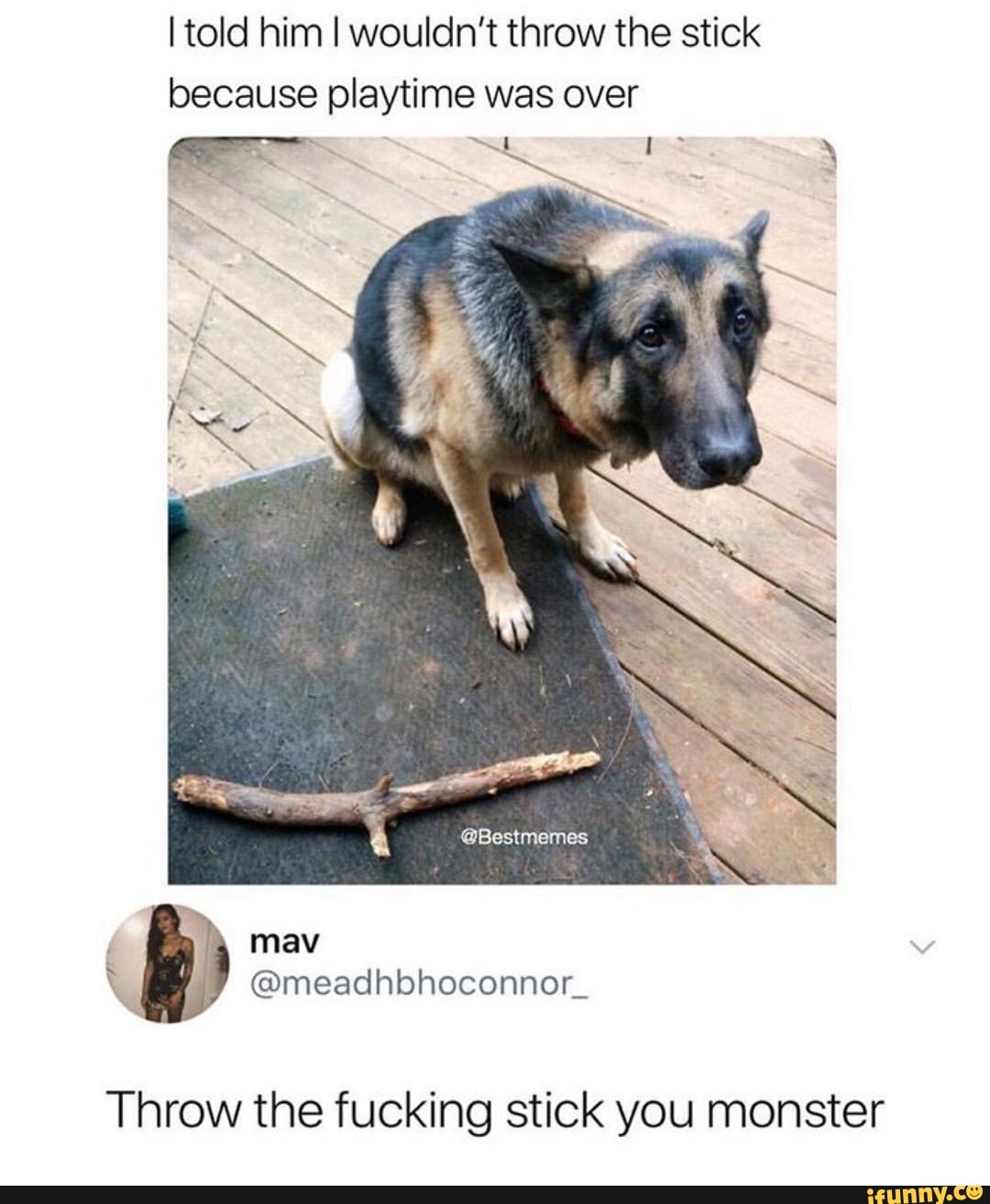 I told him I wouldn't throw the stick
because playtime was over
Throw the fucking stick you monster