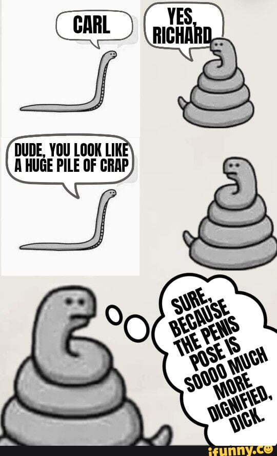 C CARL) RICR DUDE, YOU LOOK LIK A HUGE PILE OF CRAP - iFunny