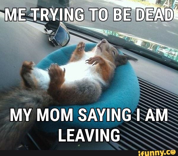 "ME TRYING TO BE E
MY MOM SAYING I AM LEAVING