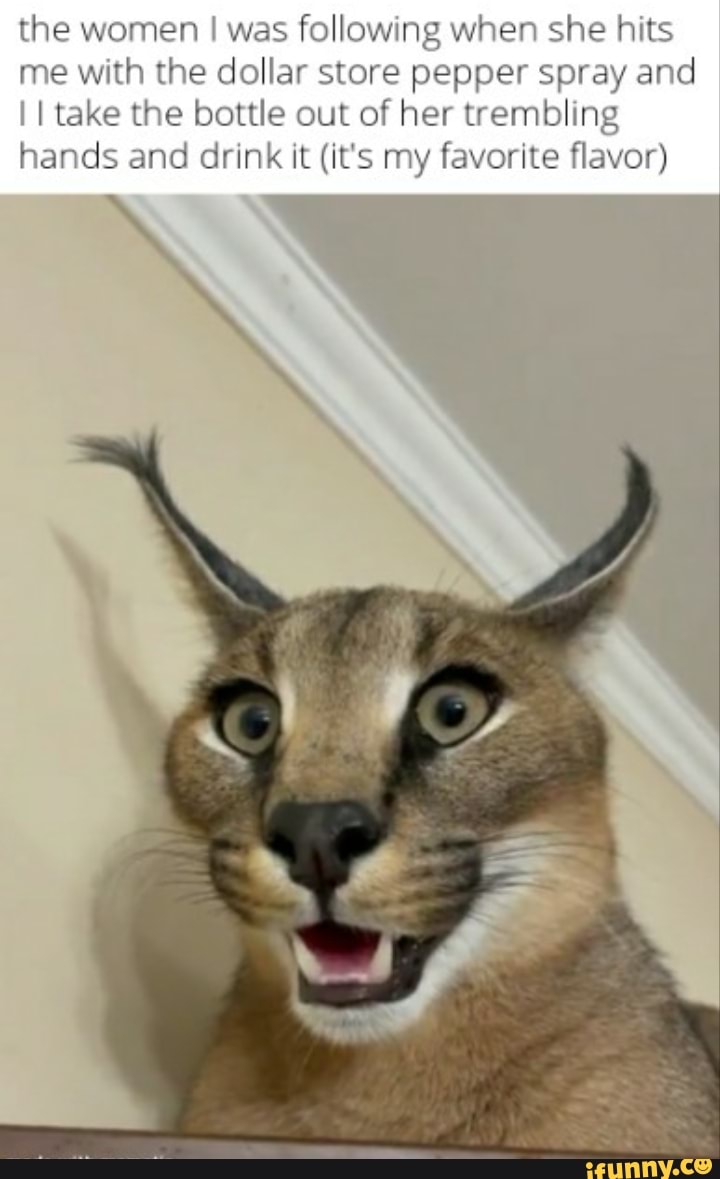 The women I was following when she hits me with the dollar store pepper