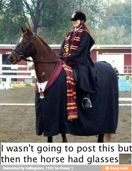 I wasn't going to post this but
then the horse had glasse