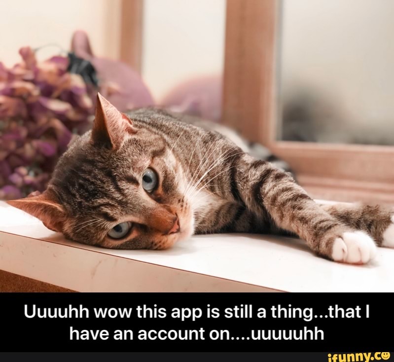 Uuuuhh wow this app is still a thing...that I have an account on....uuuuuhh - Uuuuhh wow this app is still a thing...that I have an account on....uuuuuhh
