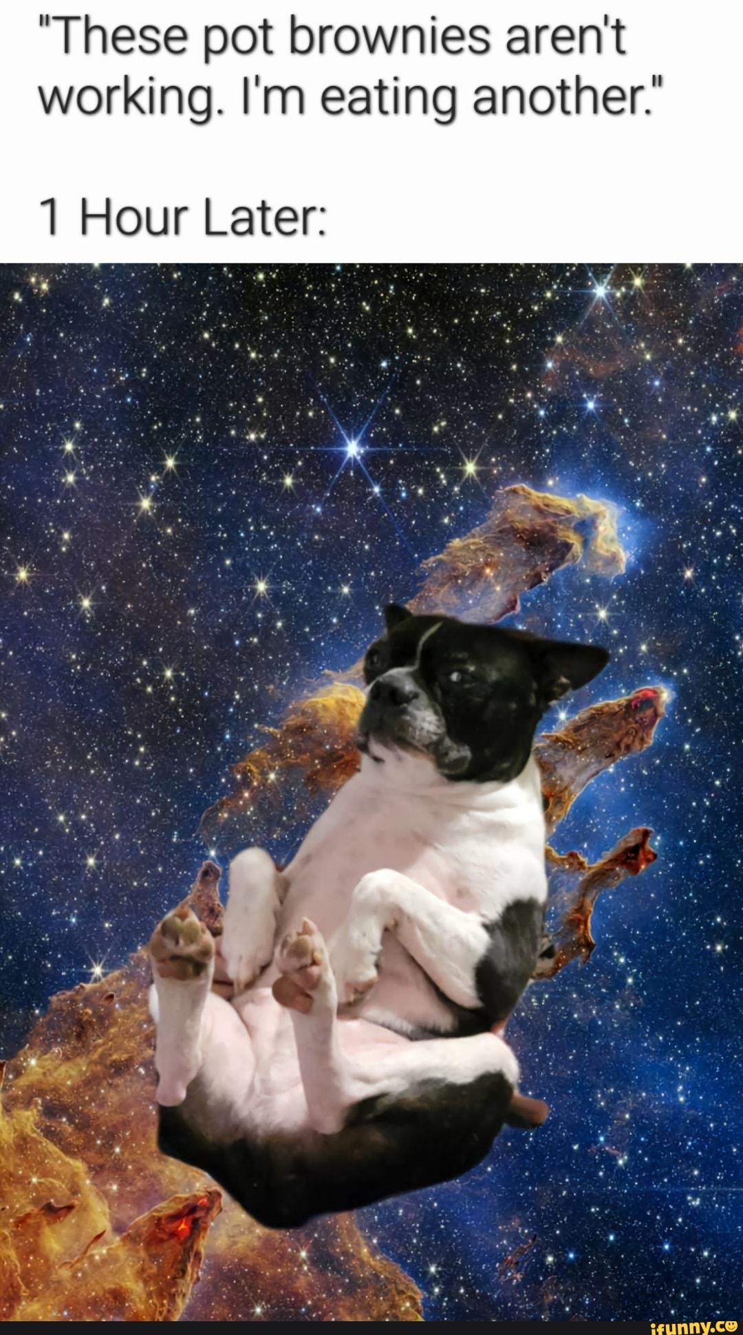 "These pot brownies aren't working. I'm eating another.' Hour Later