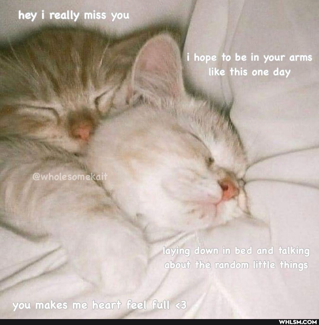 hey i really miss you
i hope to be in your arms like this one day
laying down in bed and talking about the random little things
you makes me heart feel full <3