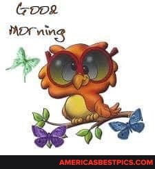 Goog
MOrning