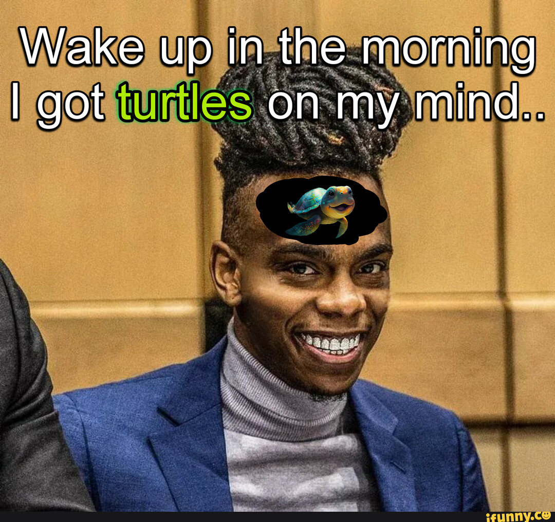 I got turtles on my mind Wake up in the morning I got on my mind