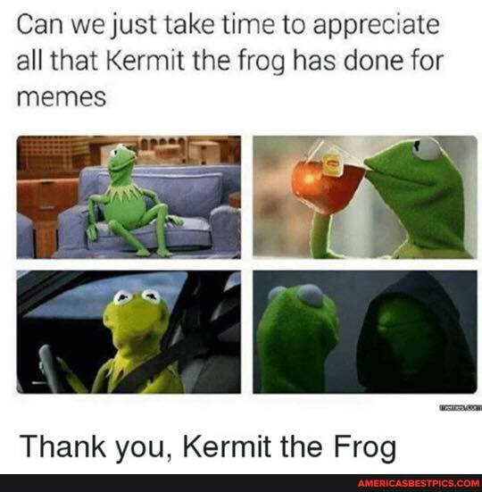 Can we just take time to appreciate all that Kermit the frog has done for memes
Thank vou. Kermit the Frog