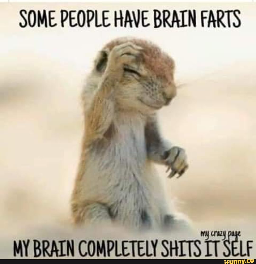 SOME PEOPLE HAVE BRAIN FARTS
MY BRAIN COMPLETELY SHITS SELF