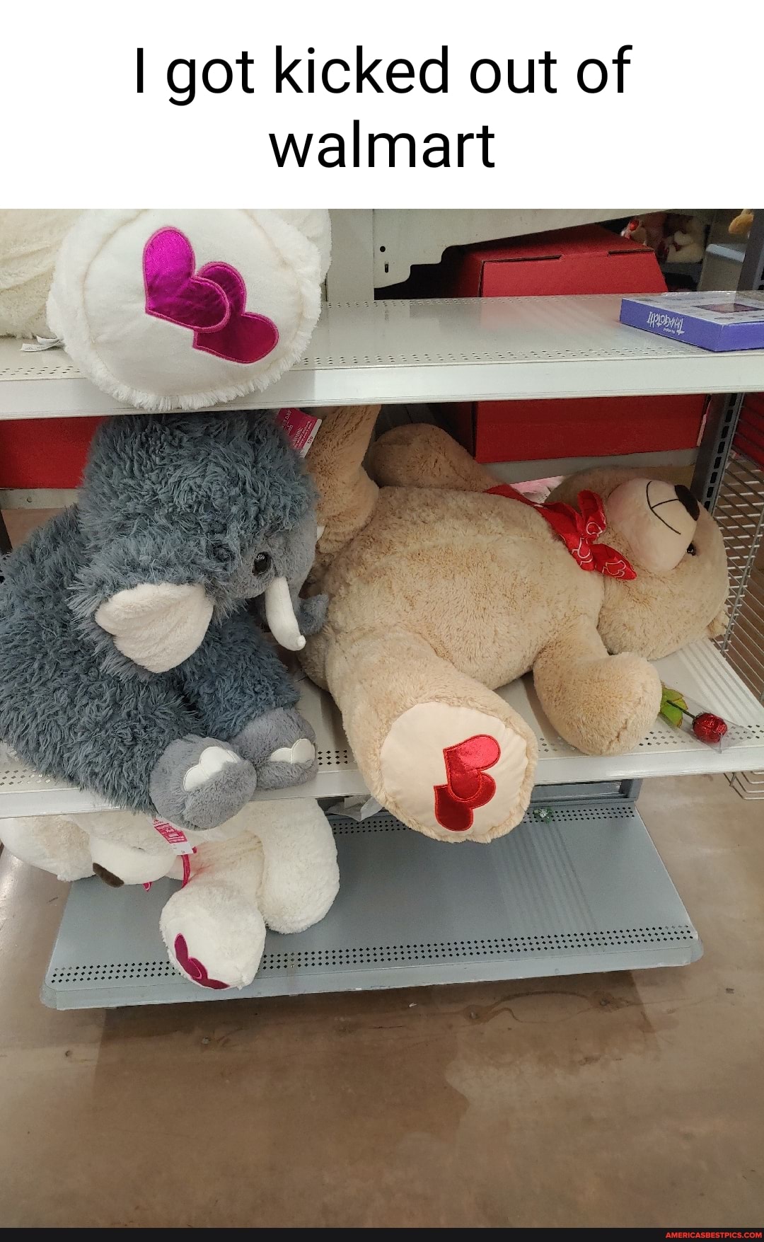 I got kicked out of
walmart