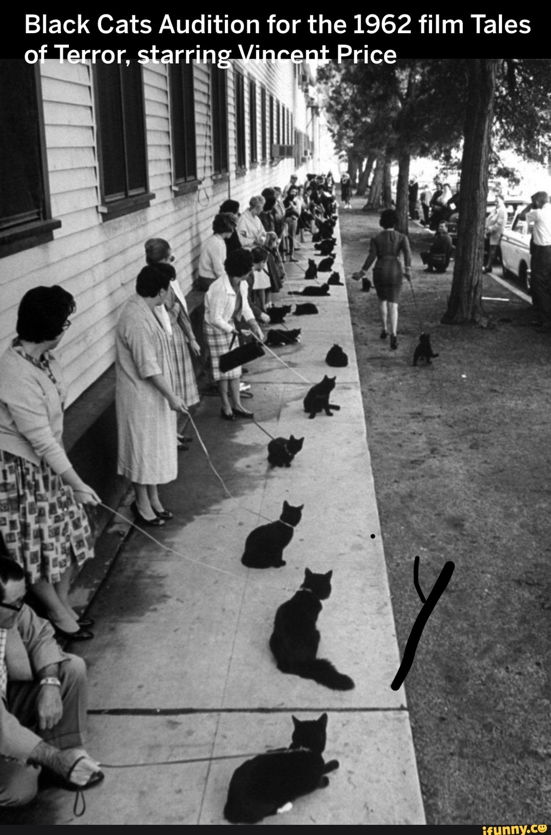 Black Cats Audition for the 1962 film Tales