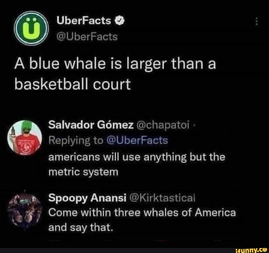 A blue whale is larger than a basketball court Salvador Gomez @chapatoi