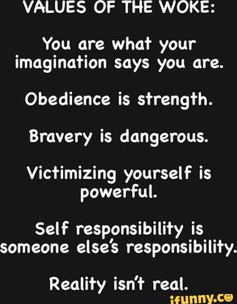 VALUES OF THE WOKE: You are what your imagination says you are ...