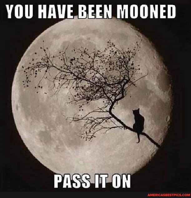 YOU HAVE BEEN MOONED
PASS IT OW